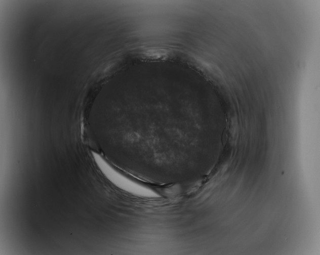 X0000094191394200711161738