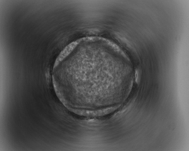 X0000094191395200711161738