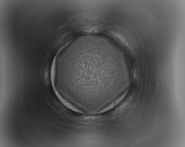 X0000094191396200711161738