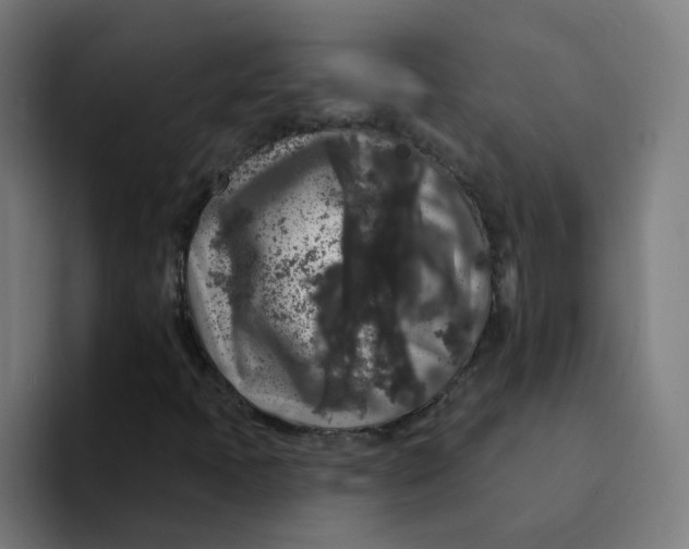 X0000094191397200711161738