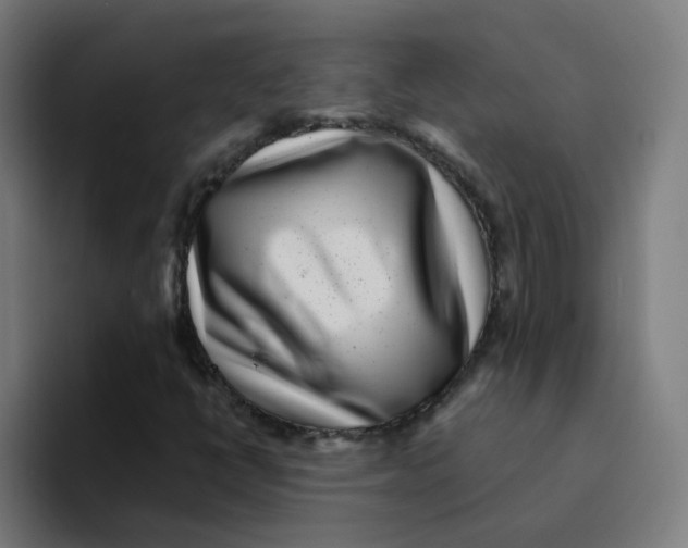 X0000094191398200711161738