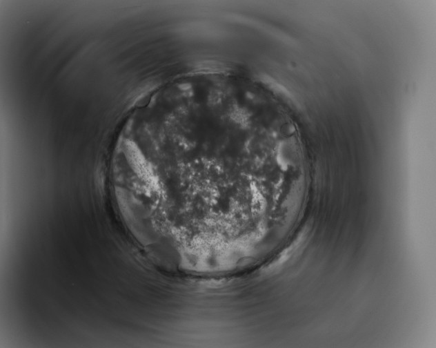 X0000094191401200711161739