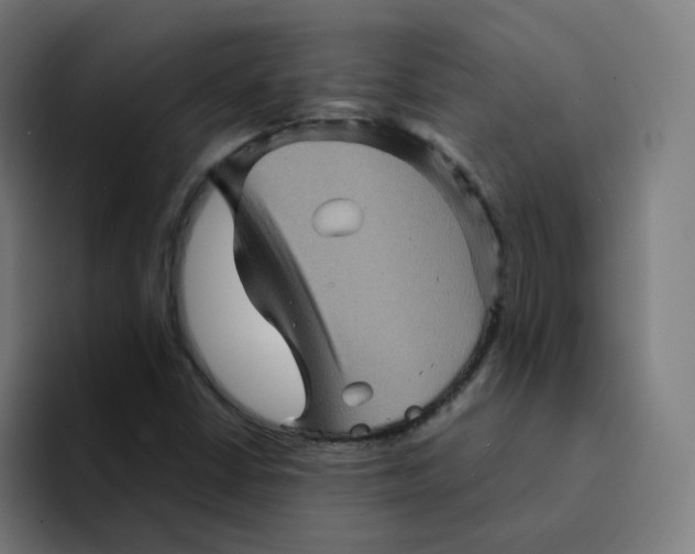 X0000094191402200711161739