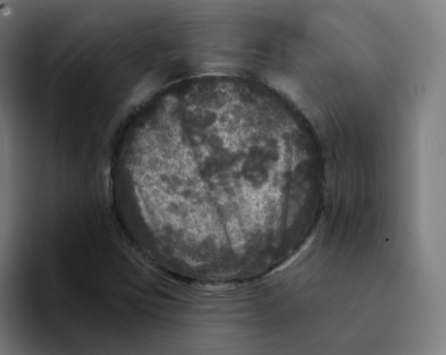 X0000094191403200711161739