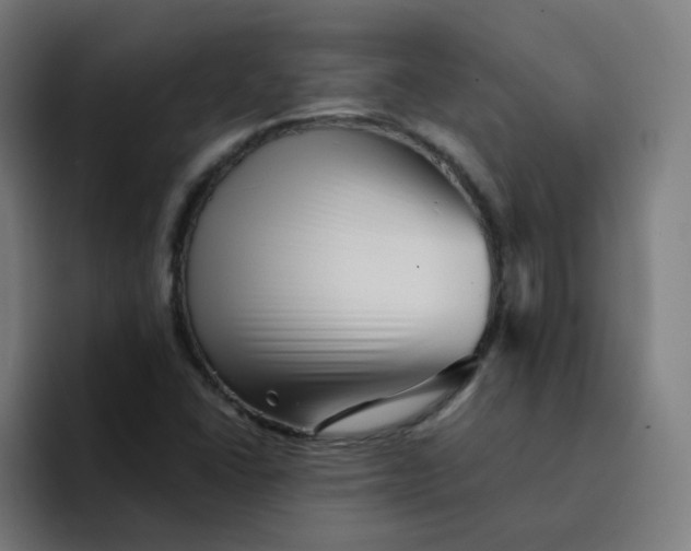 X0000094191406200711161739