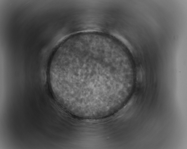 X0000094191407200711161739