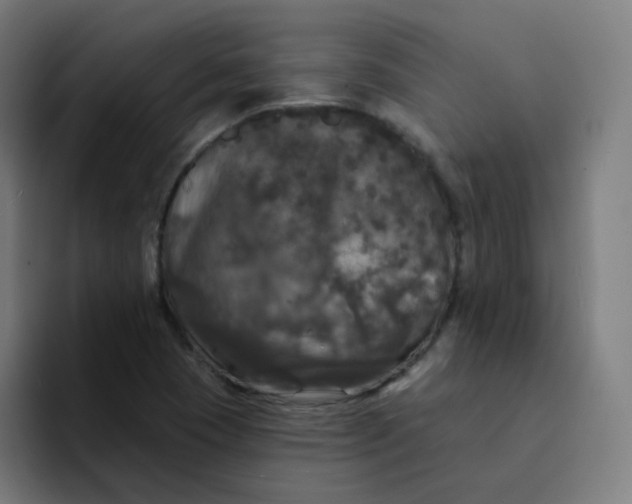 X0000094191409200711161739