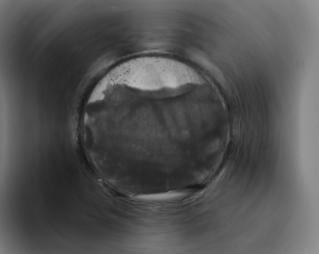 X0000094191411200711161739