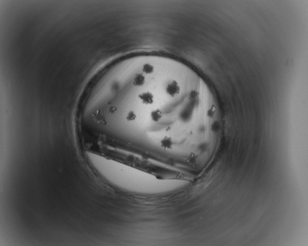 X0000094191412200711161739