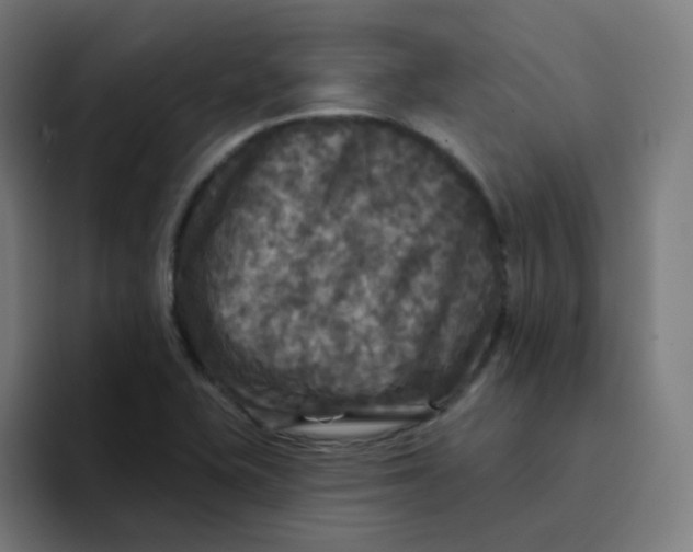 X0000094191415200711161739