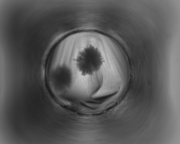 X0000094191416200711161739