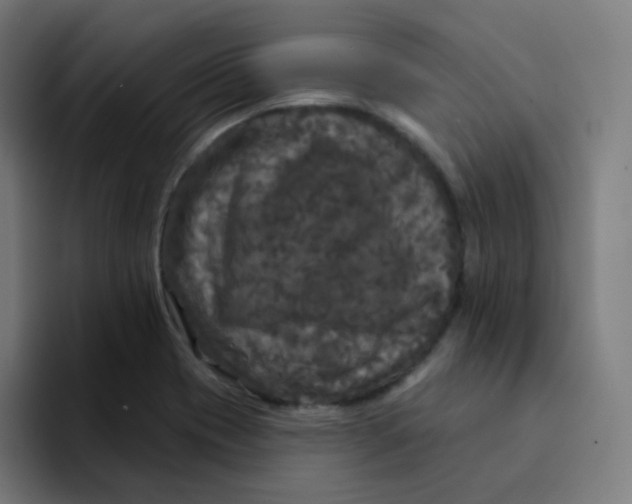 X0000094191417200711161739