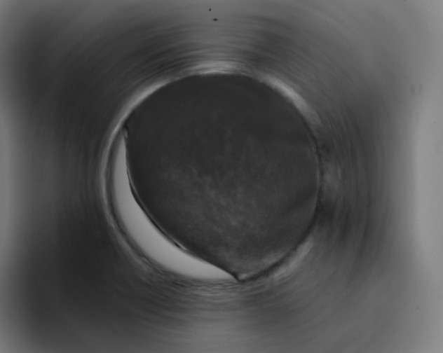 X0000094191418200711161739