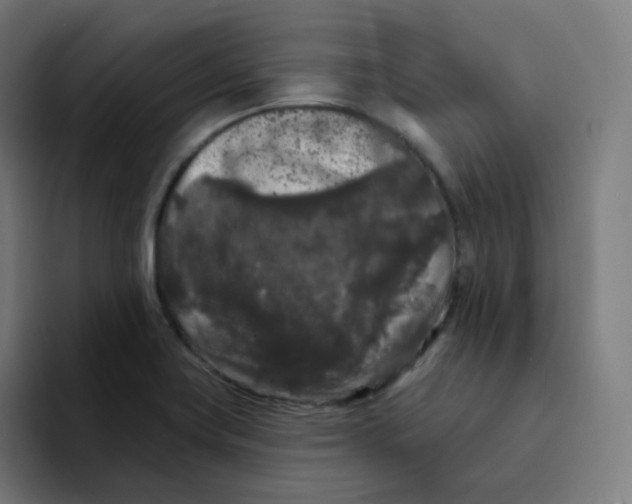 X0000094191419200711161739