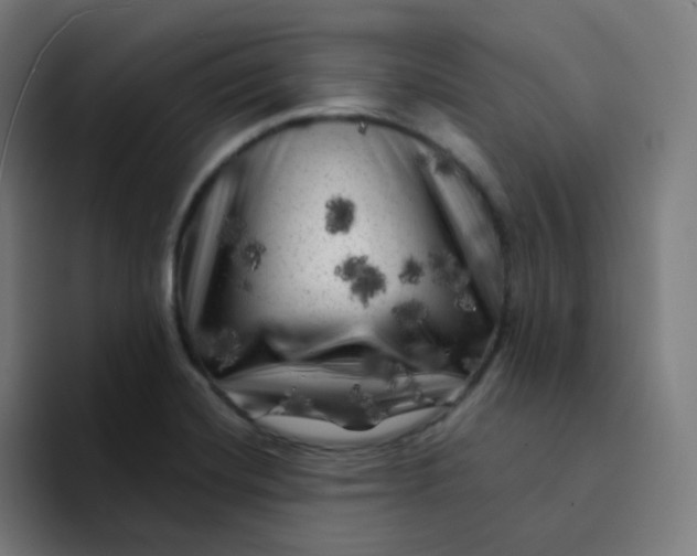 X0000094191420200711161739