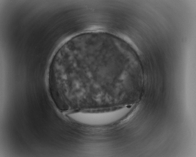 X0000094191421200711161739