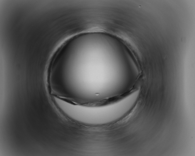 X0000094191422200711161739