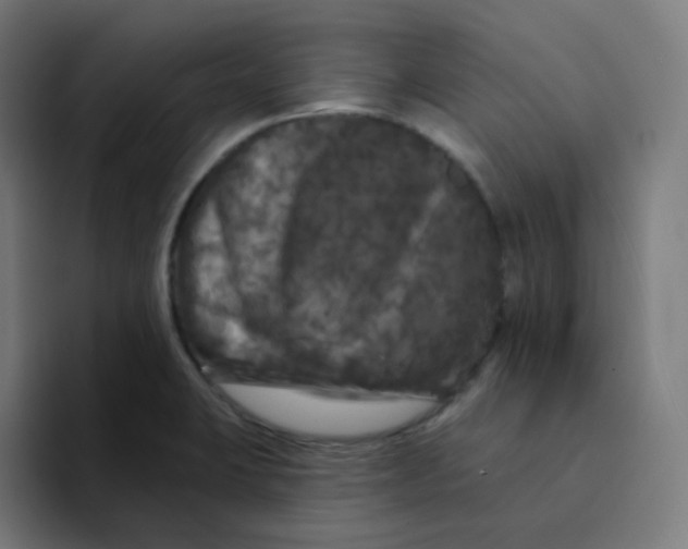 X0000094191423200711161739