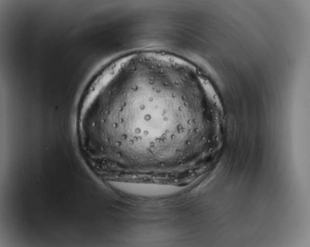 X0000094191424200711161739