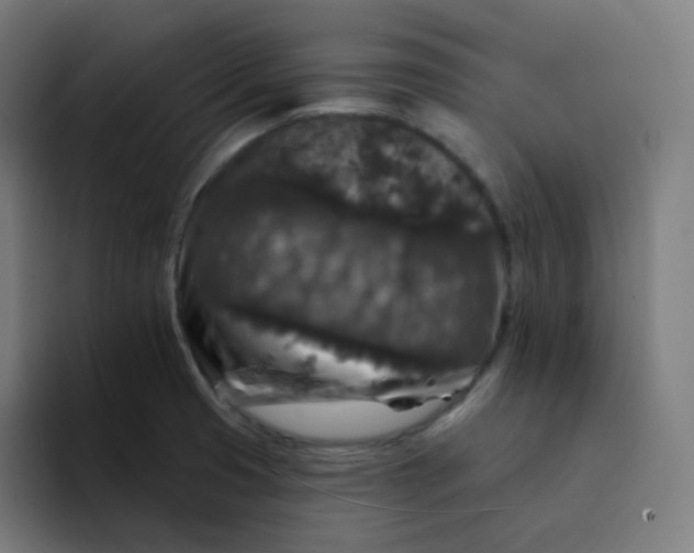 X0000094191425200711161739