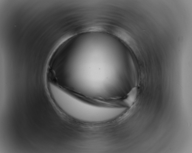 X0000094191426200711161739