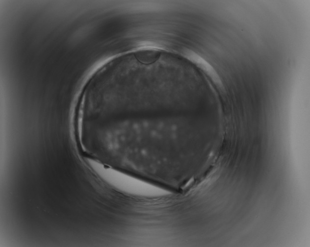 X0000094191427200711161739