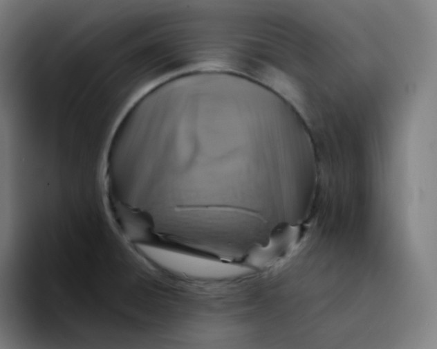 X0000094191428200711161739