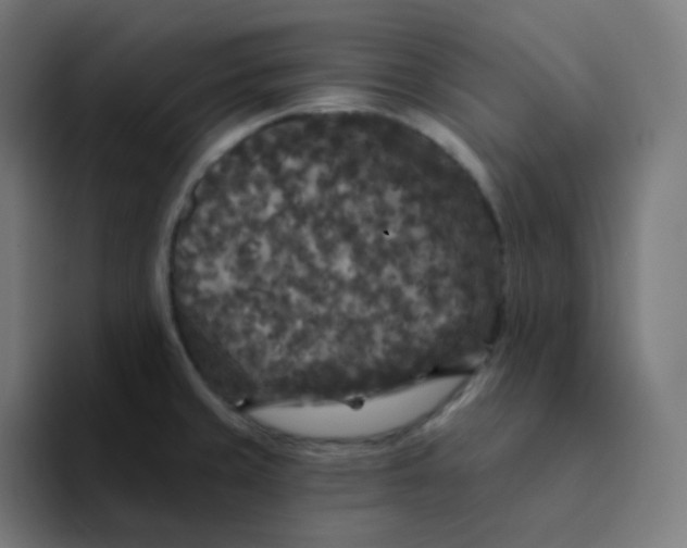 X0000094191429200711161739