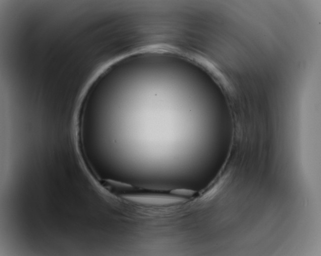 X0000094191430200711161739