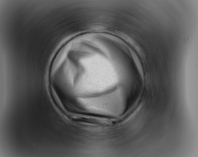 X0000094191432200711161739