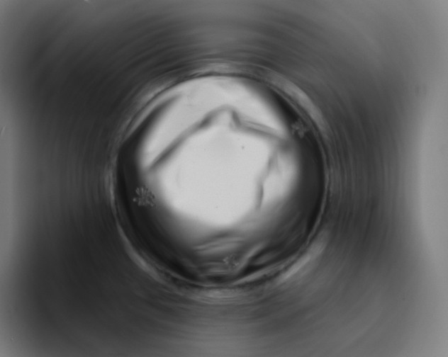 X0000094191433200711161739