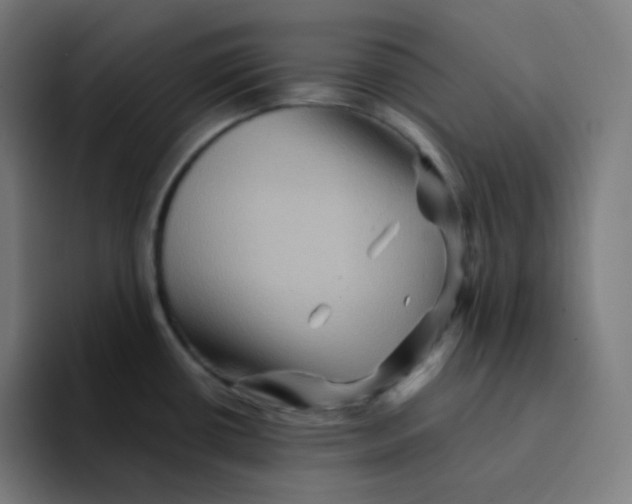 X0000094191434200711161739