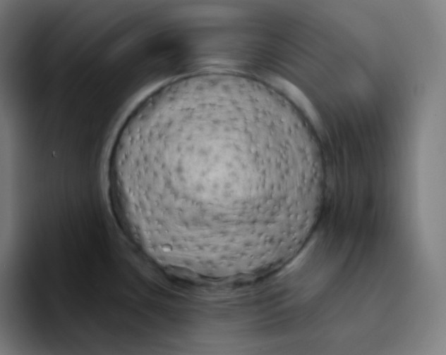 X0000094191435200711161739