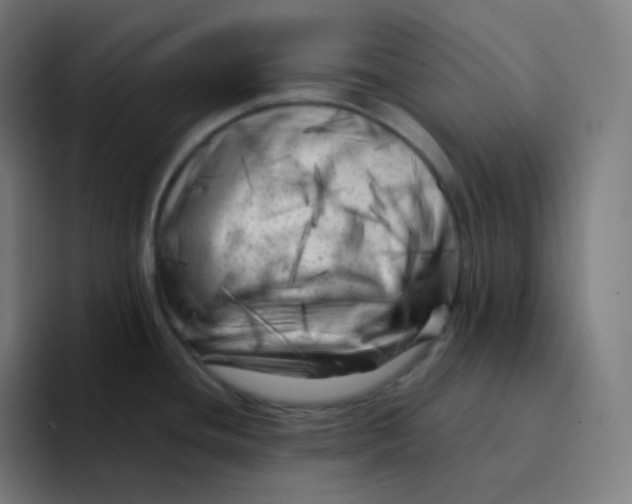 X0000094191436200711161739