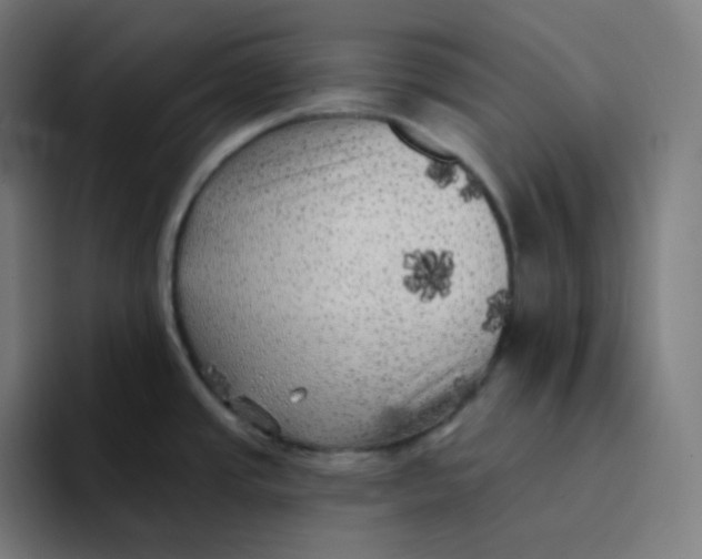 X0000094191437200711161739