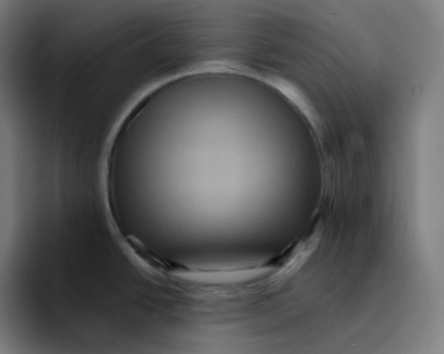 X0000094191438200711161739