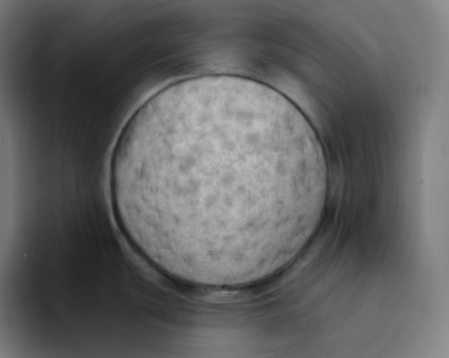 X0000094191439200711161739