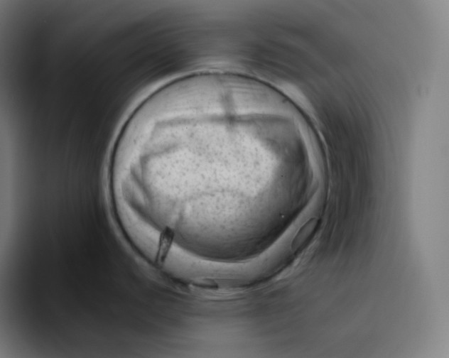 X0000094191440200711161739