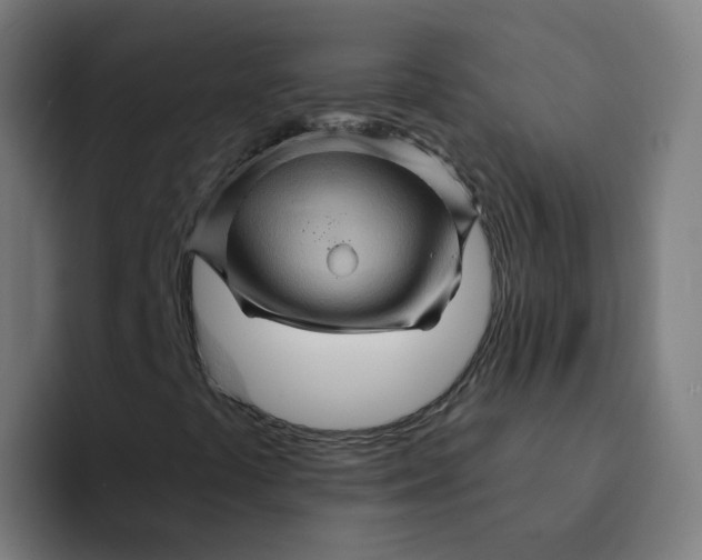 X0000094191441200711161738