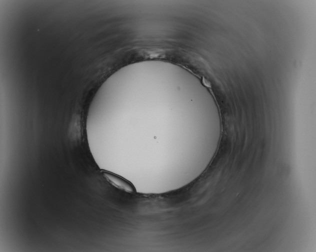 X0000094191442200711161738