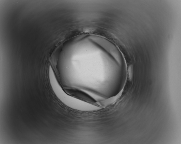 X0000094191443200711161738