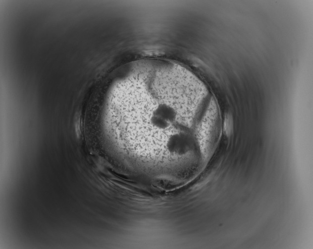 X0000094191444200711161738