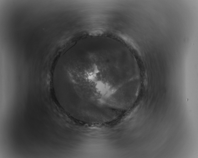 X0000094191445200711161738