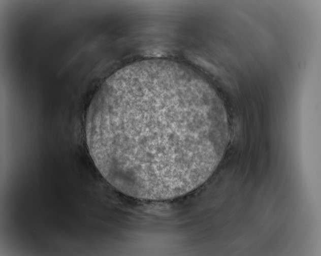 X0000094191446200711161738