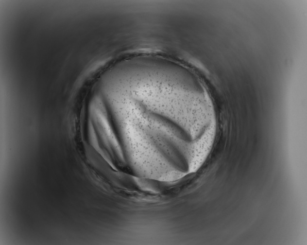 X0000094191448200711161738