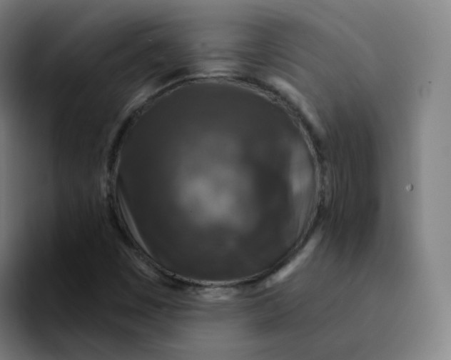 X0000094191449200711161738