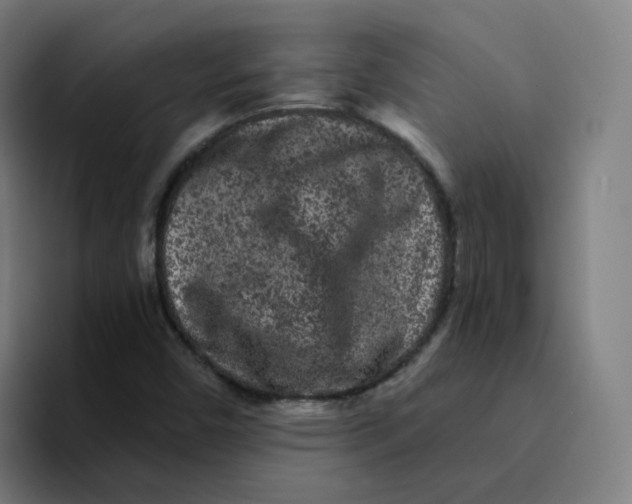 X0000094191450200711161738