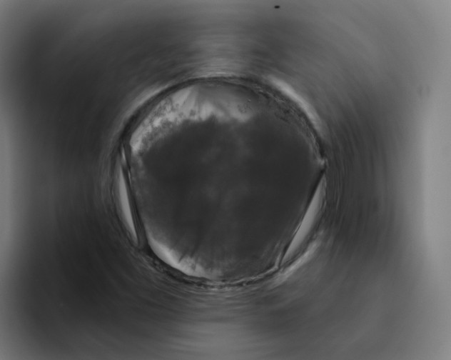 X0000094191453200711161738