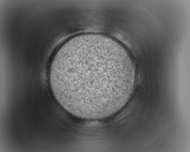 X0000094191454200711161738