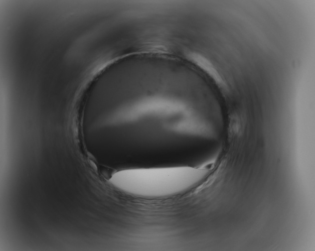 X0000094191455200711161738